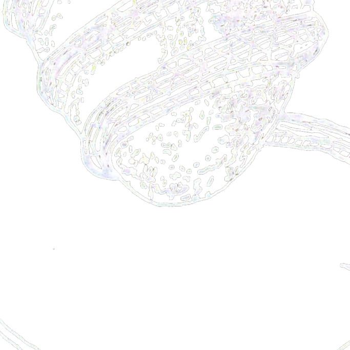 Epistemic Gnostical Gang